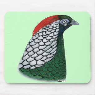 Mousepad Faisão: Lady Amherst Head