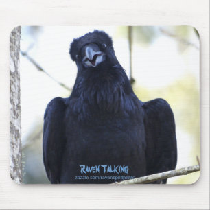 MOUSEPAD FALA PRETA DO CORVO