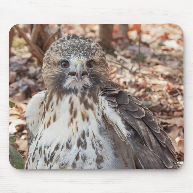 Mousepad Falcão atado vermelho (Frente)