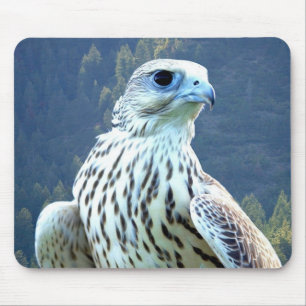 Mousepad Falcão branco