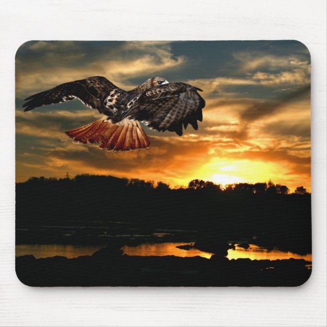 Mousepad Falcão-de-cauda-vermelha (Frente)