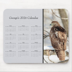Mousepad Falcão-de-cauda-vermelha: Personalize o calendário