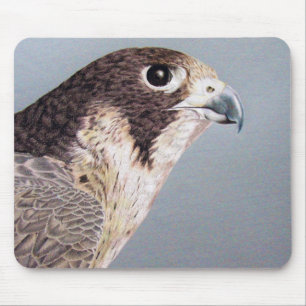 Mousepad Falcão de peregrino