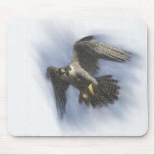Mousepad Falcão de peregrino em vôo