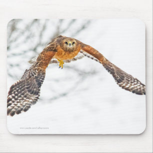 Mousepad Falcão em Voo
