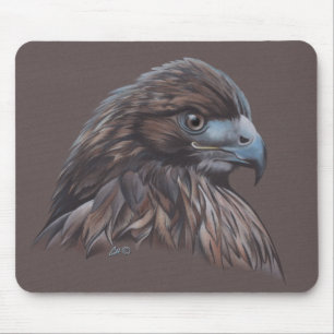Mousepad Falcão no lápis colorido