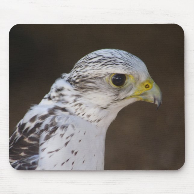 Mousepad Falco rusticolus (Frente)