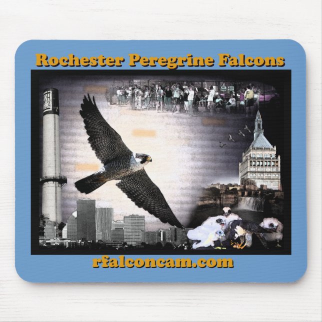 Mousepad Falcons de peregrino de Rochester do tapete do (Frente)