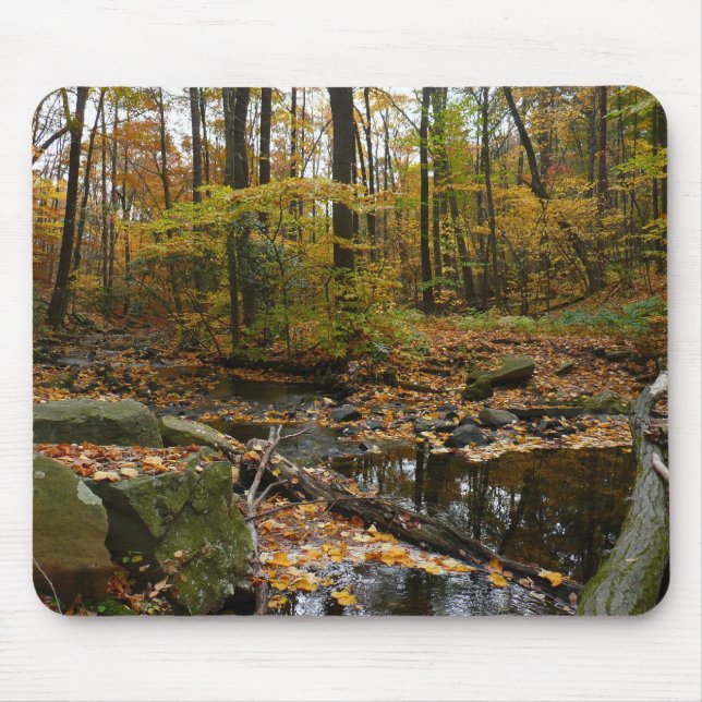 Mousepad Fall Creek com Reflexão no Laurel Hill Park (Frente)