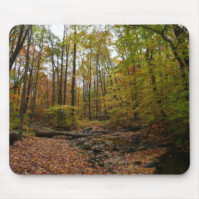 Mousepad Fall Creek em Laurel Hill State Park na Pensilvâni (Frente)