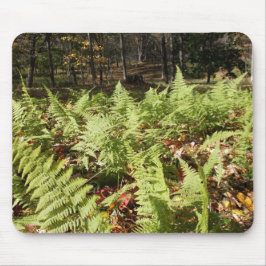 Mousepad Fall Ferns