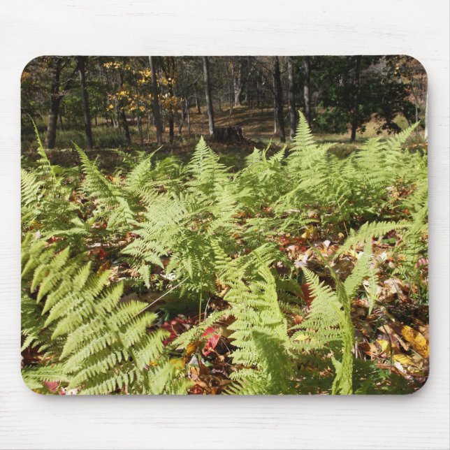Mousepad Fall Ferns (Frente)