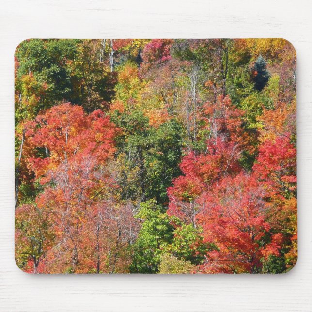 Mousepad Fall Hillside Colorter Autumn Nature Fotografia (Frente)