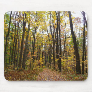 Mousepad Fall Trail and Ouro Leaves no Laurel Hill Park