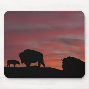 Mousepad Família Bison