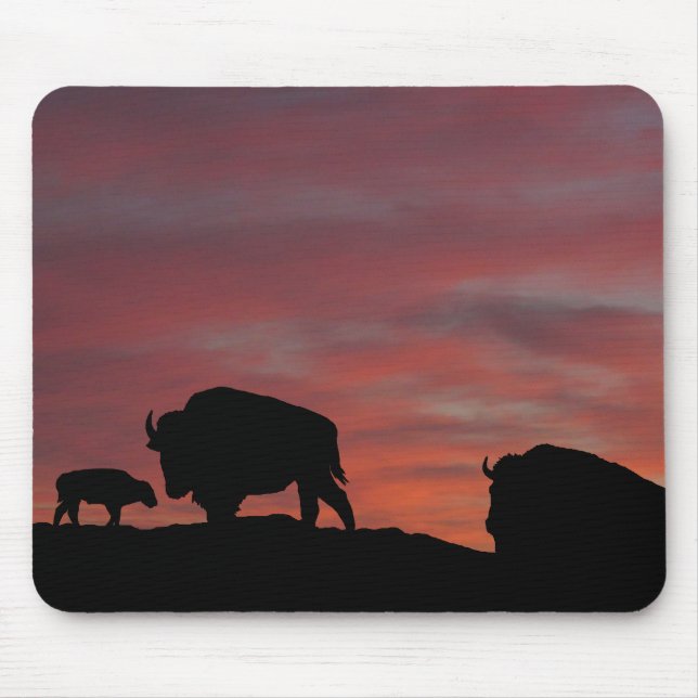 Mousepad Família Bison (Frente)