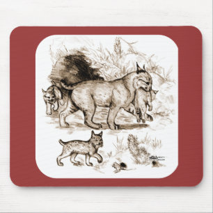 Mousepad Família Bobcat