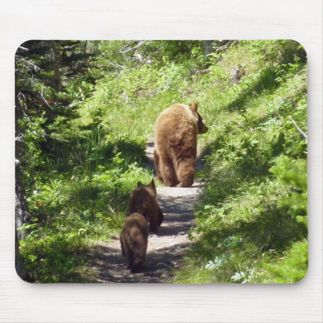 Mousepad Família Brown Bear (Frente)
