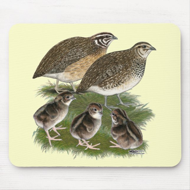 Mousepad Família de Codorniz Coturnix (Frente)
