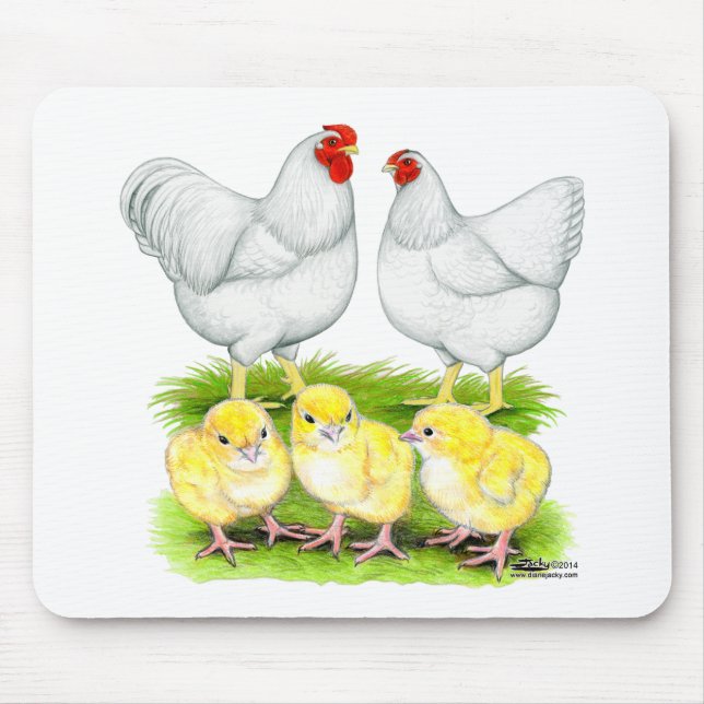 Mousepad Família de Frangos Brancos Wyandotte (Frente)