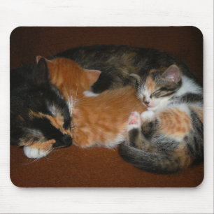 Mousepad Família de gatinhos sonolentos