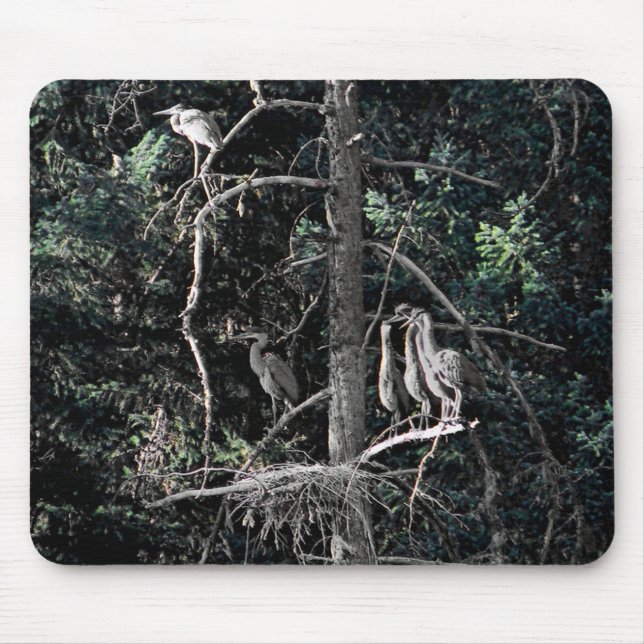 Mousepad Família de Herões... (Frente)