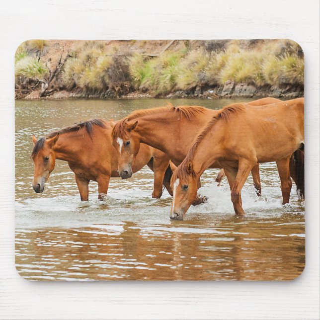 Mousepad Família do Cavalo Marrom no rio (Frente)