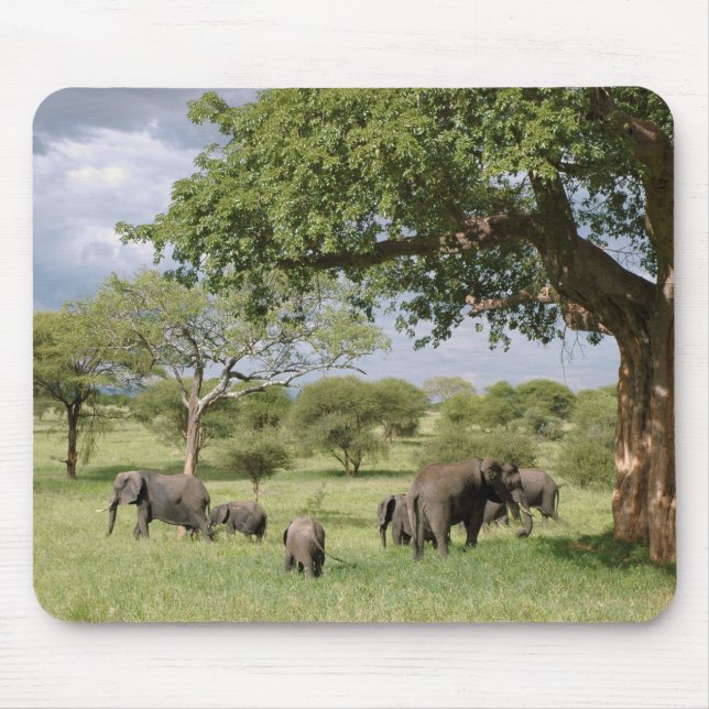 Mousepad Família do elefante (Frente)