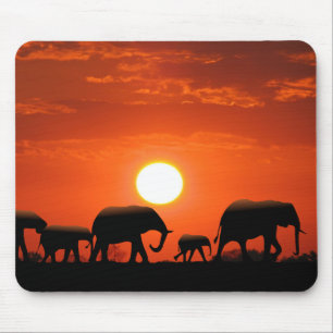 Mousepad Família do elefante