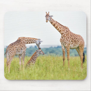 Mousepad Família do girafa das imagens   de Getty