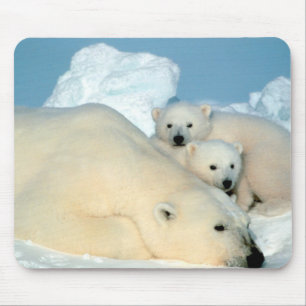 Mousepad Família do urso polar