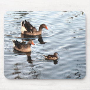 Mousepad Família Duck