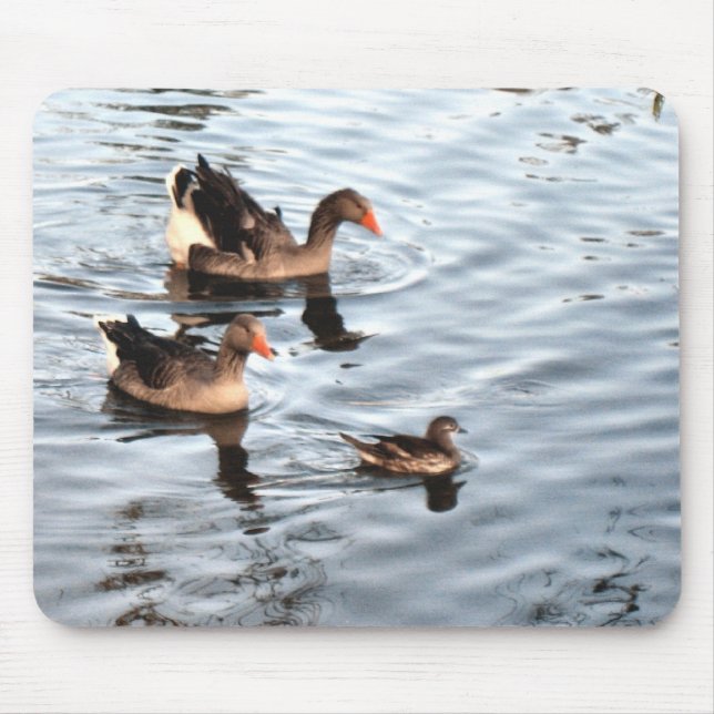Mousepad Família Duck (Frente)