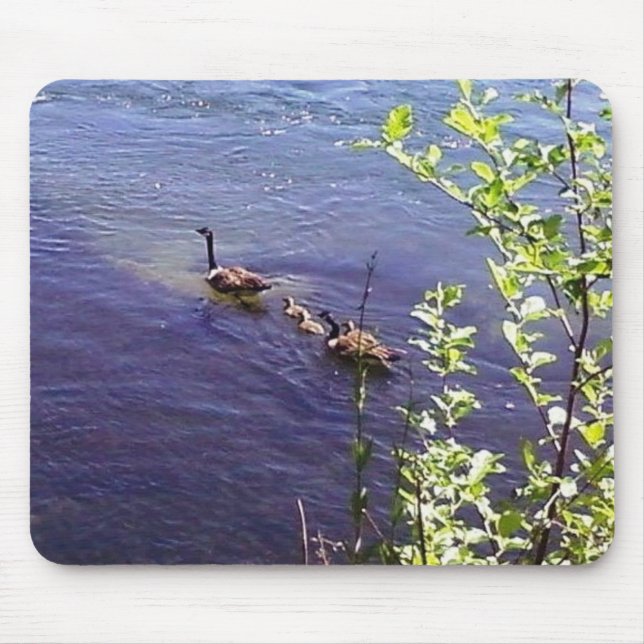 Mousepad Família Geese Canadense (Frente)