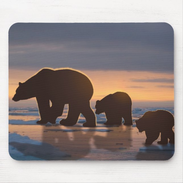 Mousepad Família Polar Bear (Frente)