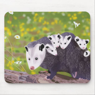Mousepad Família Possum