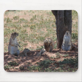 Mousepad Família Prairie Dog
