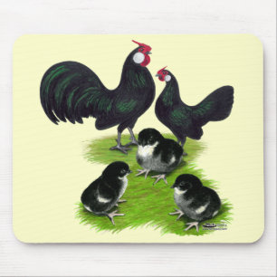 Mousepad Família Rosecomb Black Bantam