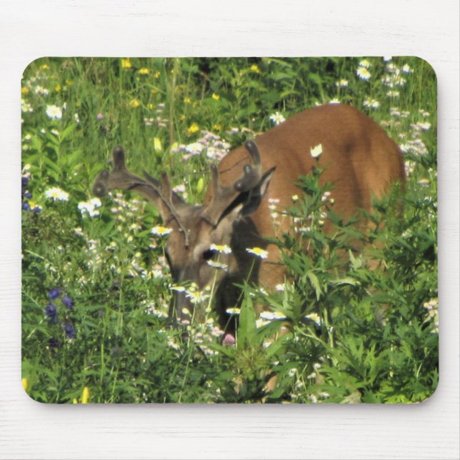 Mousepad Fanfarrão do ponto que consulta os jardins do (Frente)