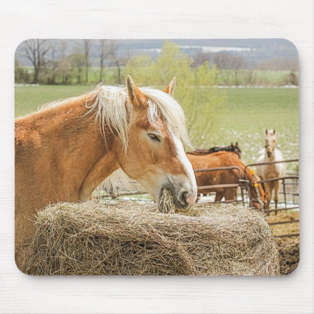 Mousepad Farm Horse Munching on Some Hay (Frente)