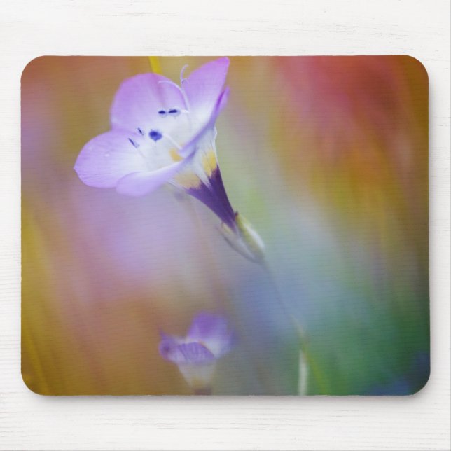 Mousepad Farol Old Point Loma | Monumento Cabrillo (Frente)