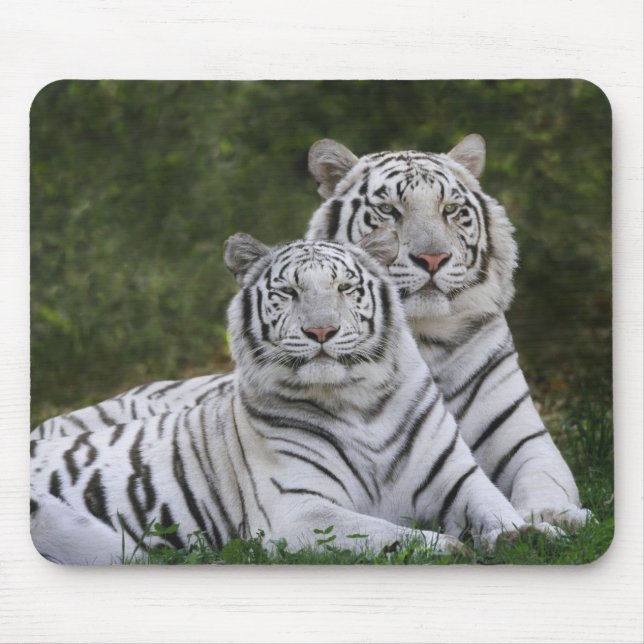 Mousepad Fase branca, Tigre-de-bengala, Tigris (Frente)