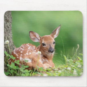 Mousepad Fawn Adorável deitada debaixo de uma árvore