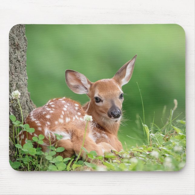 Mousepad Fawn Adorável deitada debaixo de uma árvore (Frente)