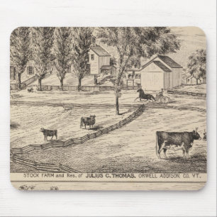 Mousepad fazenda de ações em Orwell Vermont