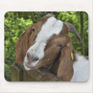 Mousepad Fazenda de cabine de 4-H
