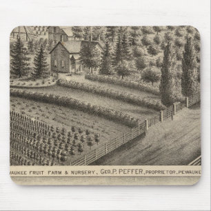 Mousepad Fazenda de Fruta e enfermaria