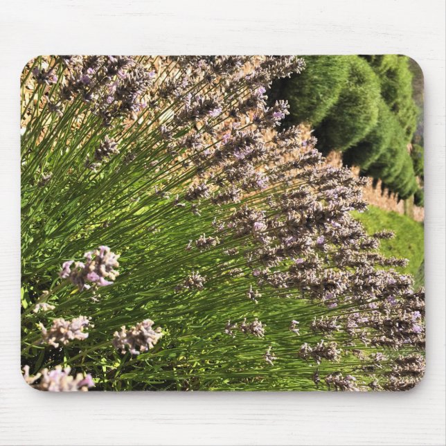 Mousepad Fazenda lavanda (Frente)