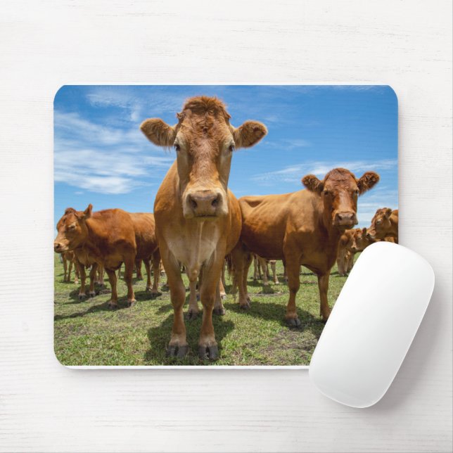 Mousepad Fazendas | Castanho (Com mouse)