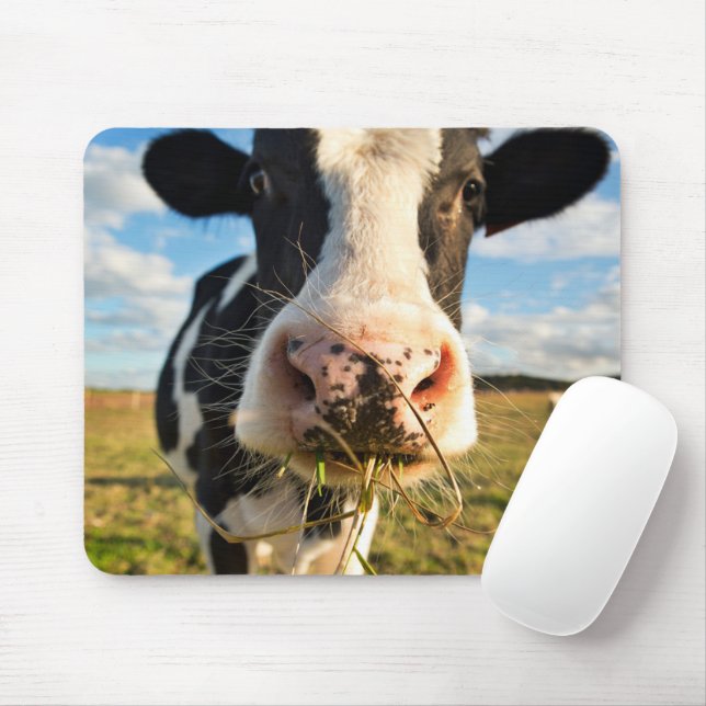 Mousepad Fazendas | Mastigação De Vaca Holstein (Com mouse)